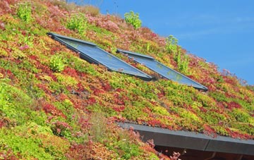 Aylestone Park living roof systems